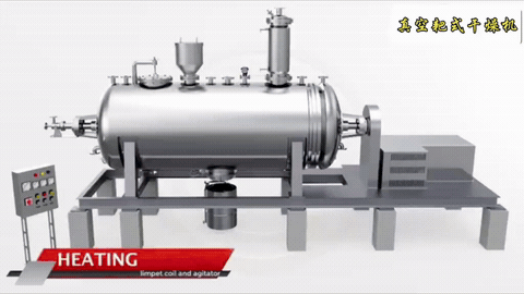 rotary vacuum paddle dryer